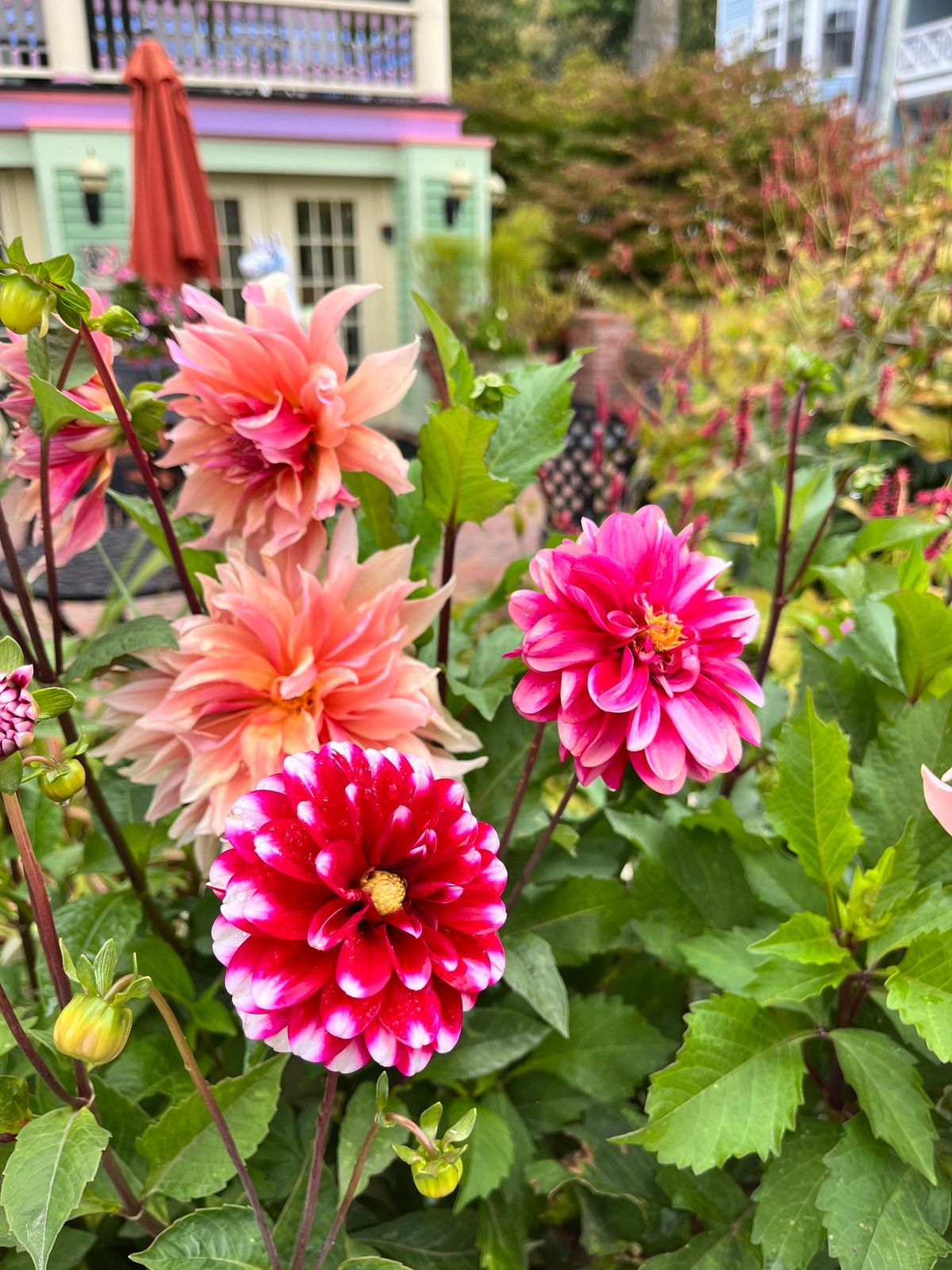 Flowers & Coffee! 