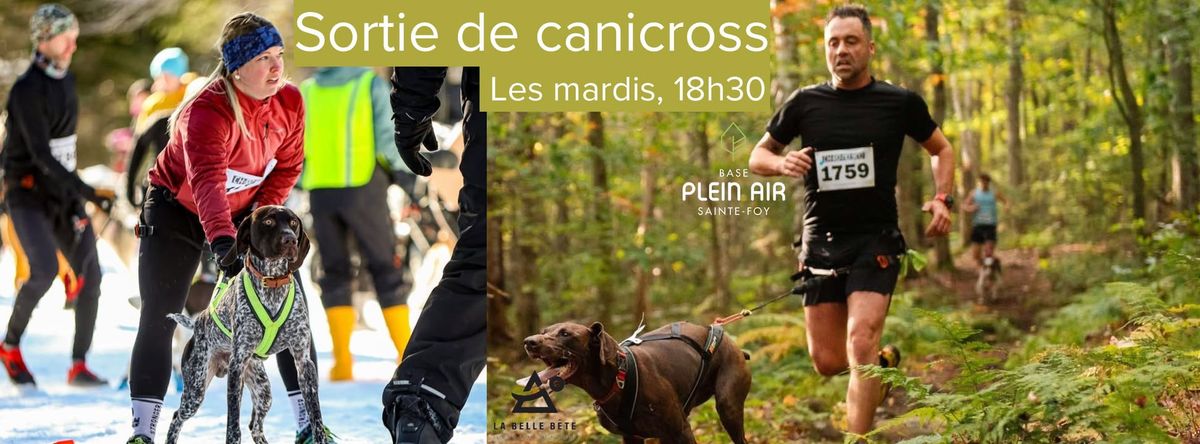 Sortie de canicross La Belle B\u00eate - BPA 