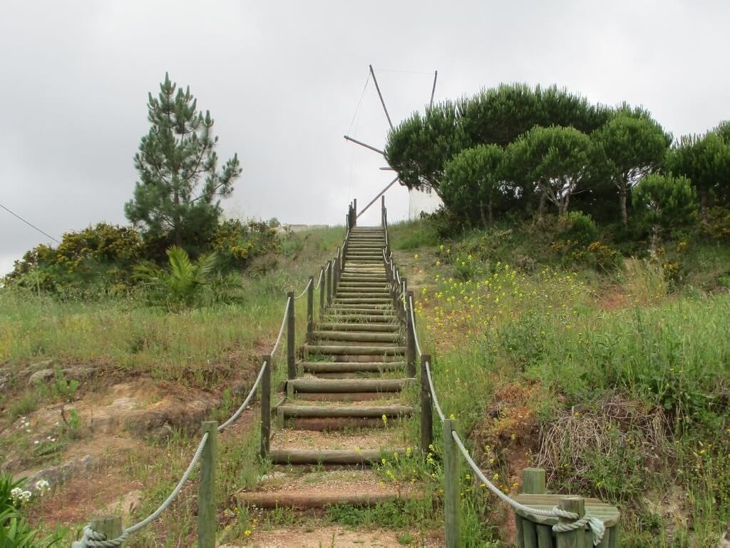 Caminhando no Vale Verde da Abelheira