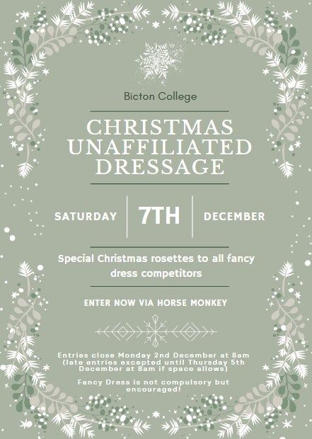 Christmas Unaffiliated Dressage 