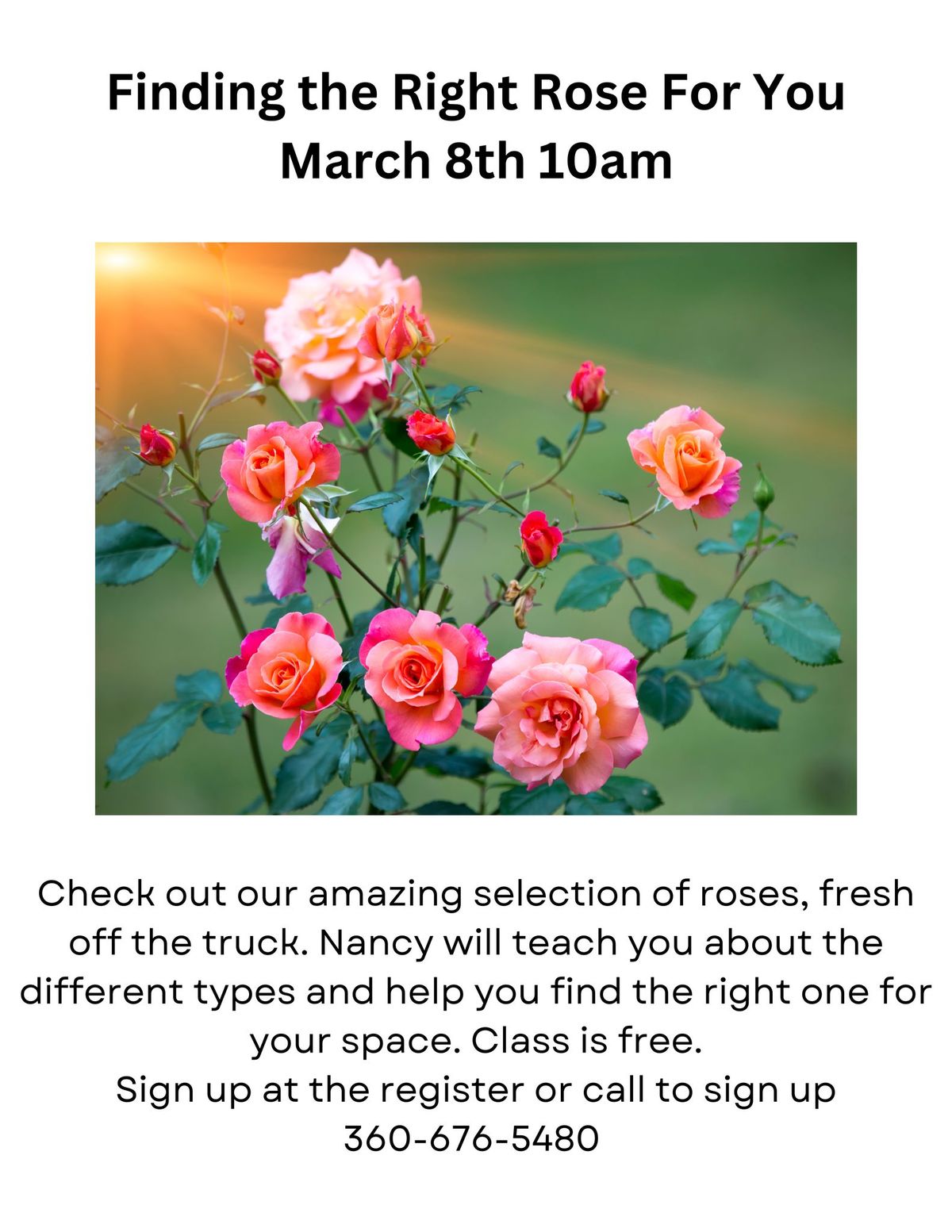 Finding the Right Rose For You