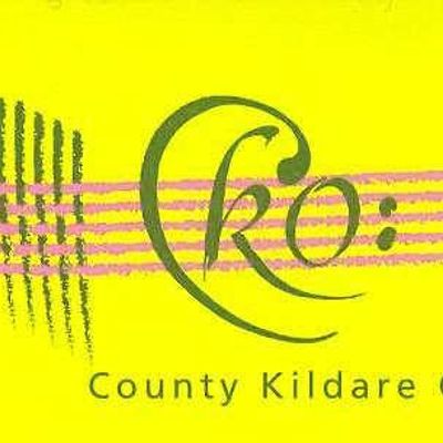 County Kildare Orchestra