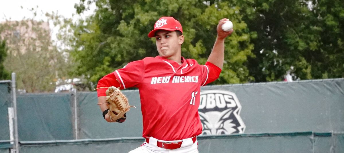Parking Grand Canyon Lopes at New Mexico Lobos Womens Basketball