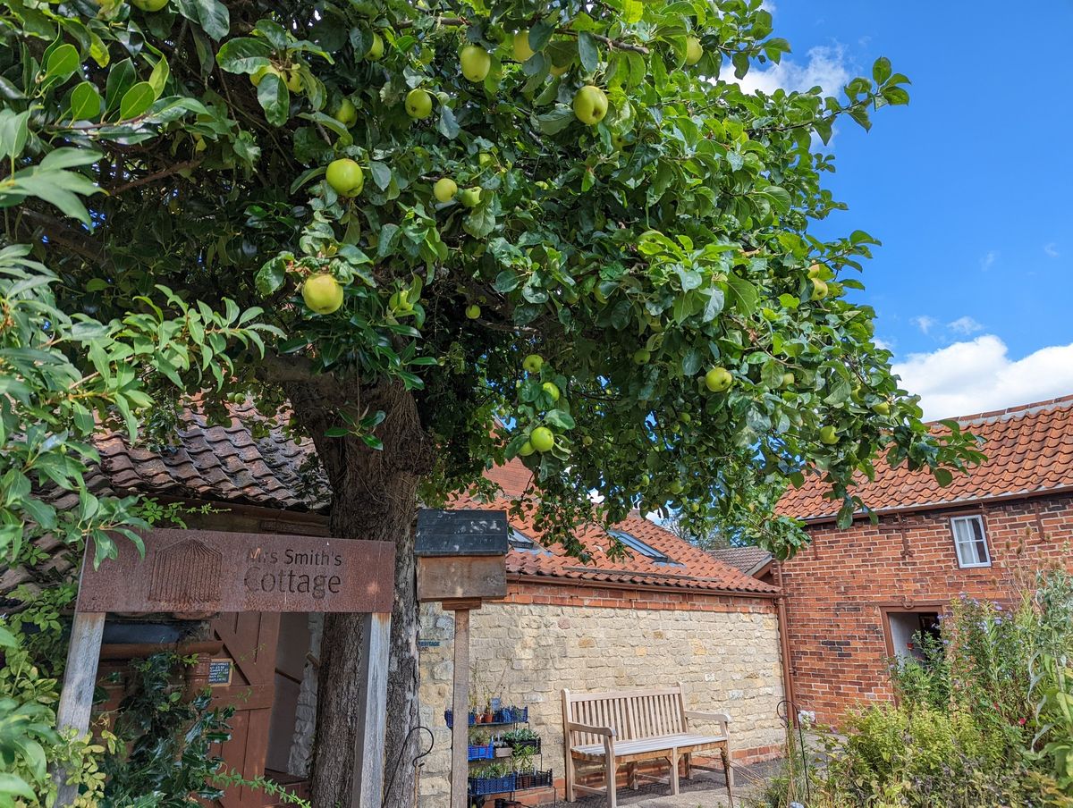 Apple Day - Have a go at apple pressing!