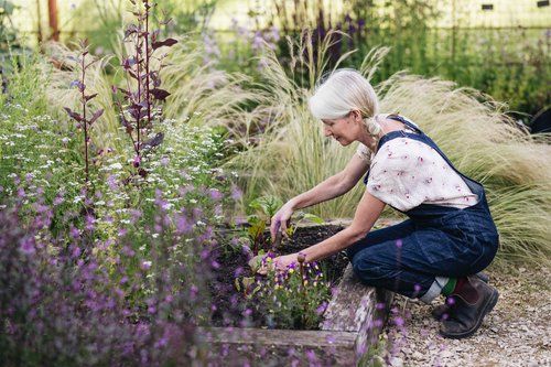 Vallis Nature Talks - Lessons from the Soil with Alison Jenkins