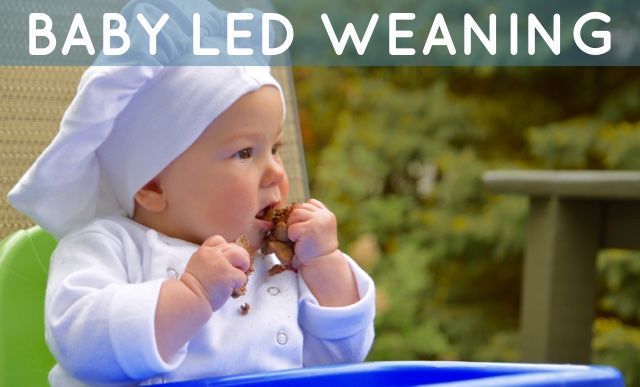 Baby Led Weaning Workshop