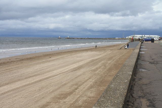 Ayr Beach & area litter pick