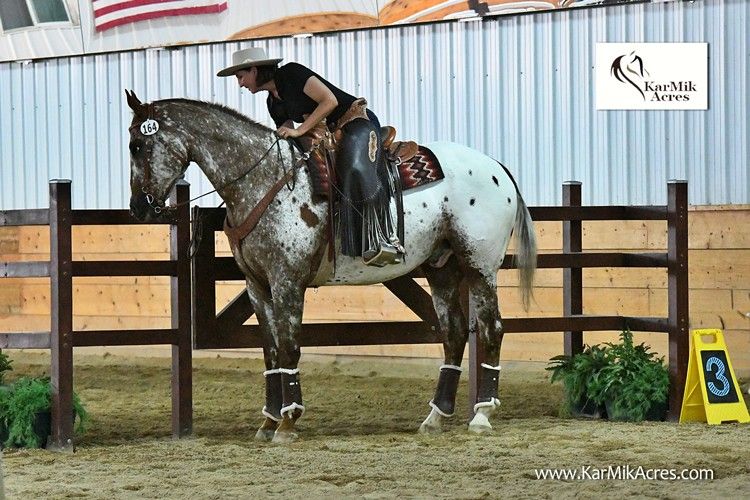 Horseless Intro to Working Equitation March 22nd