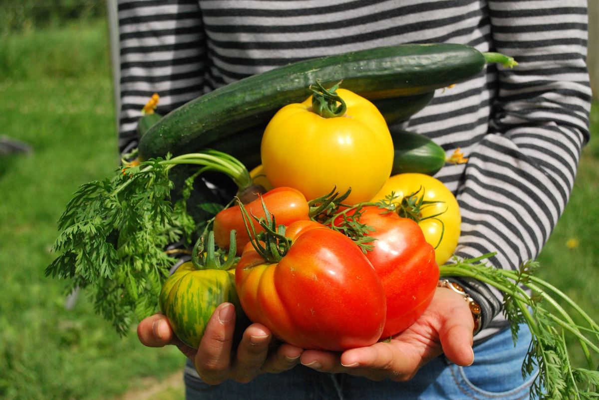 F\u00eate de la Nature et Bourse aux Plantes 