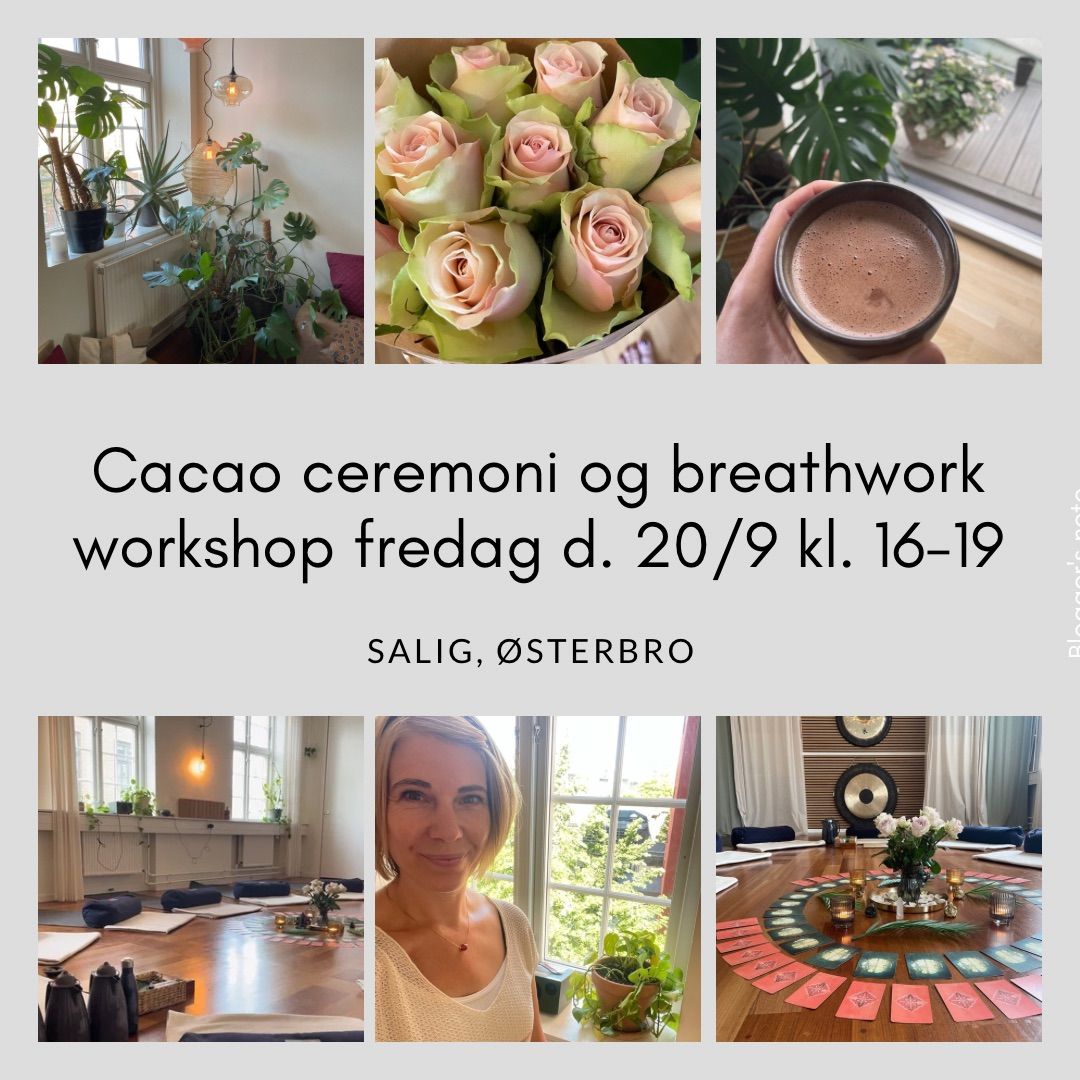 Cacao ceremoni & breathwork workshop