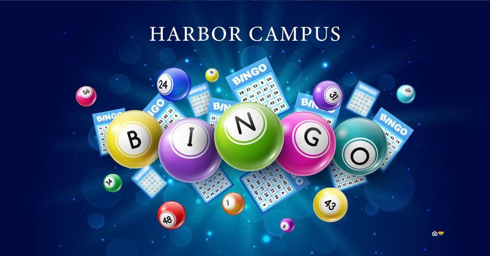 Bingo, Harbor Campus, Port Washington, 26 October 2023