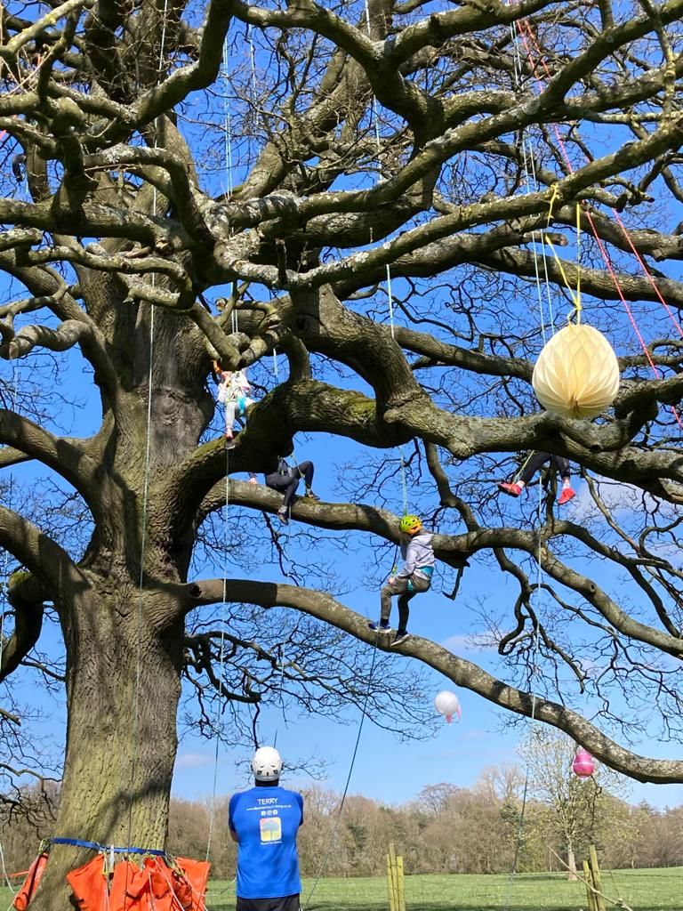 Tree Climbing at Arley Hall & Gardens Saturday 26th April 2025