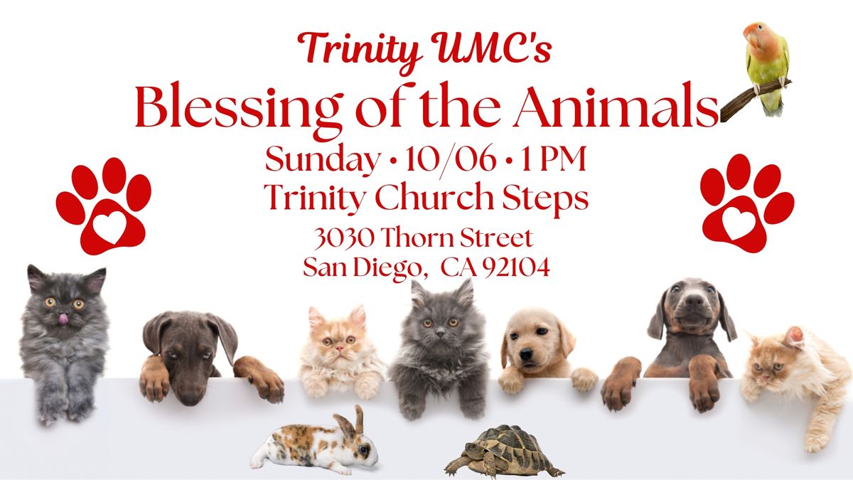 Trinity UMC Blessing of the Animals