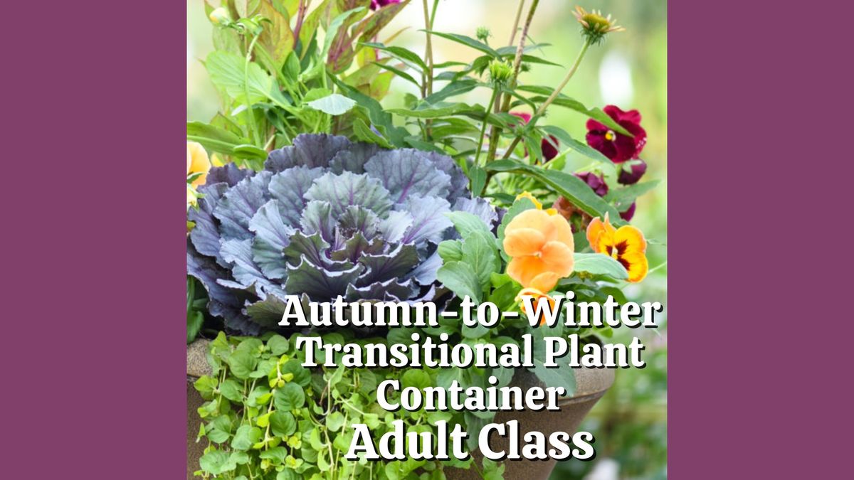 Autumn-to-Winter Transitional Plant Containers