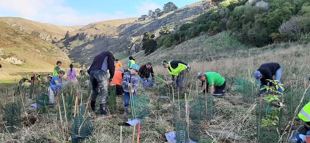 Te Awa Kura - Barnett Park Community Planting Event