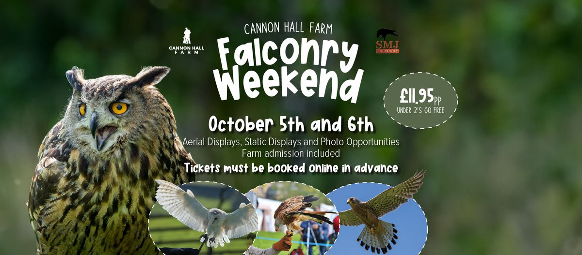 Falconry Weekend at Cannon Hall Farm