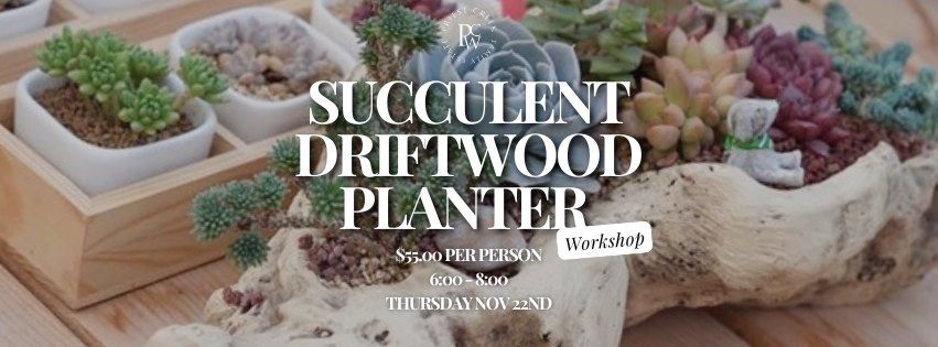 Succulent Driftwood Planter Workshop