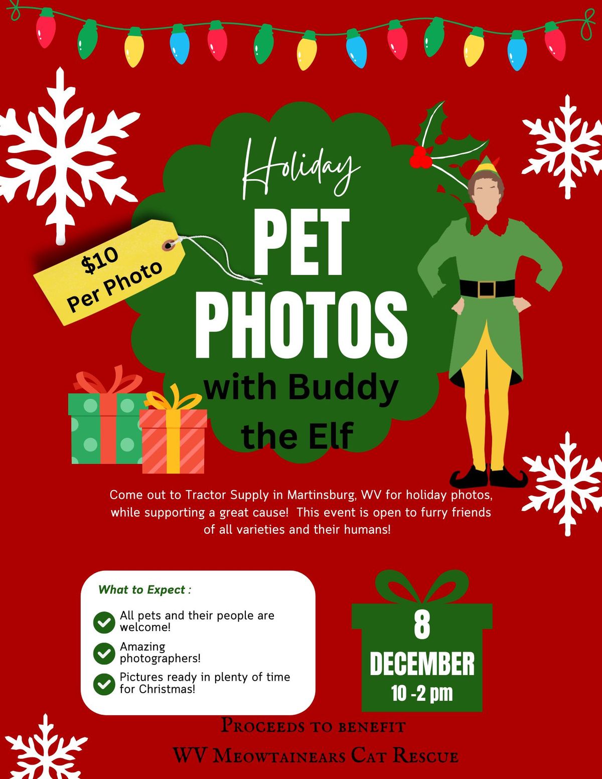 Holiday Pet Photos with Buddy the Elf