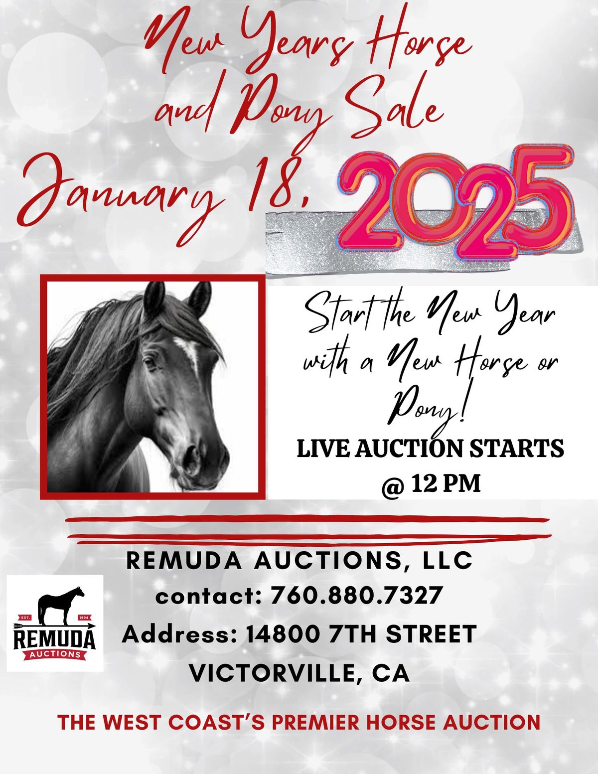 New Years All Breed Horse Auction