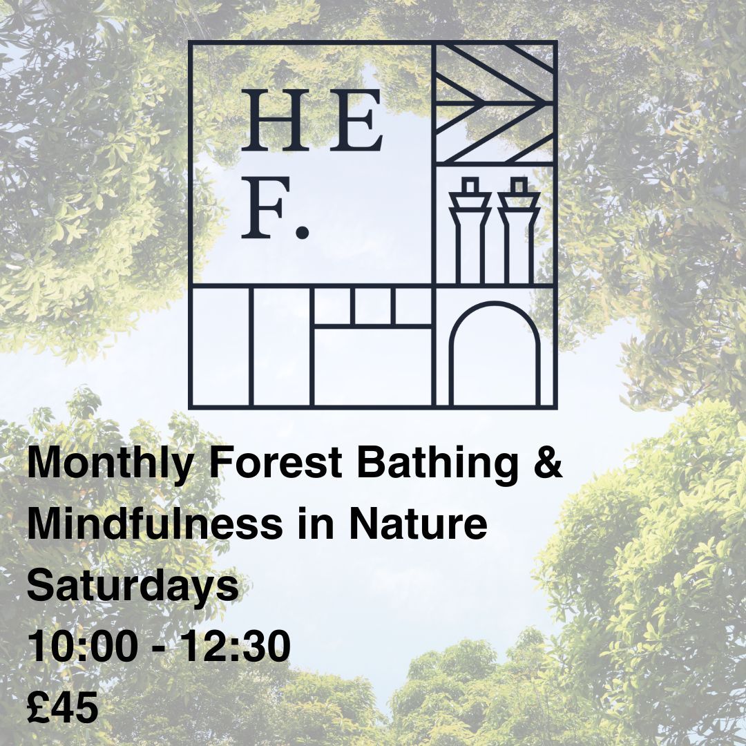 Monthly Forest Bathing and Mindfulness in Nature