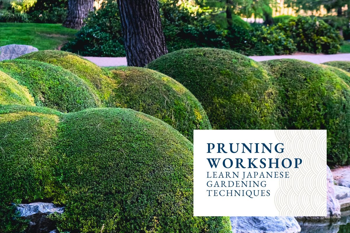 Garden Workshop Series - Fall Pruning