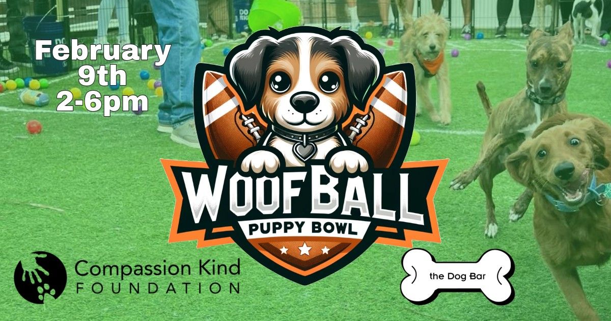 Woofball Puppy Bowl