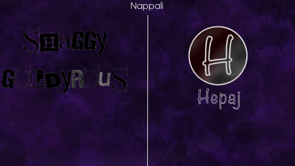 shaggy x goldyrous, HEPAJ (guest: SIKKBOY KIDDIE X SALLAI)- NAPPALI