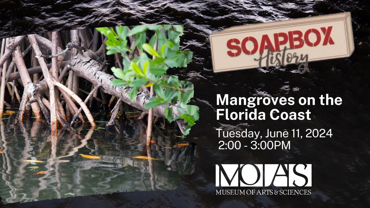 Soapbox History: Mangroves on the Florida Coast