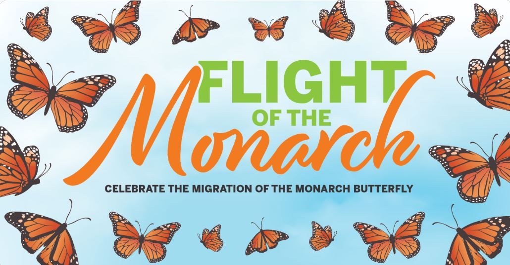 Flight of the Monarch 