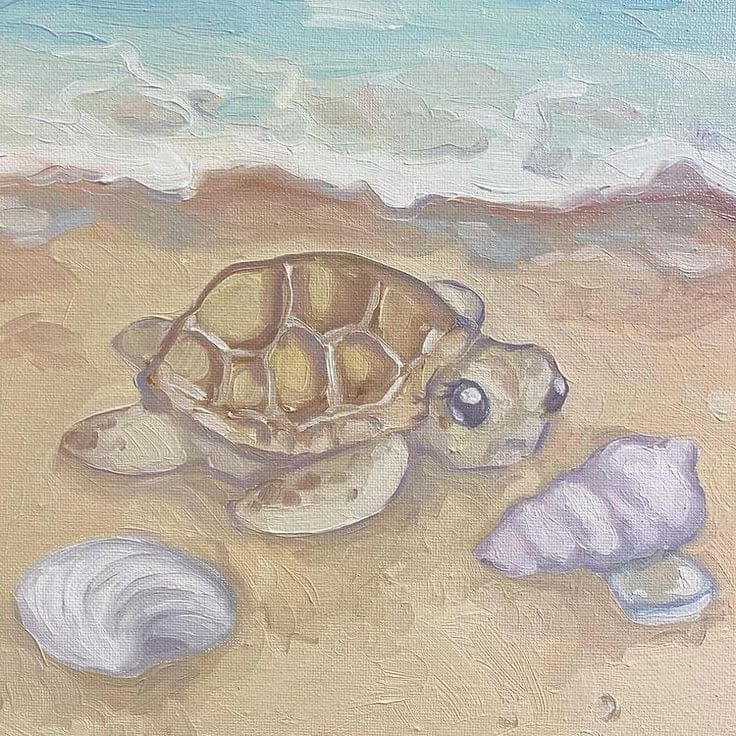 Sweet Sea Turtle 