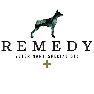 Remedy Veterinary Specialists