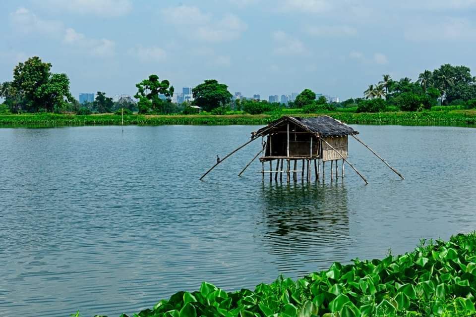 East Kolkata Wetland - A Ramsar Site