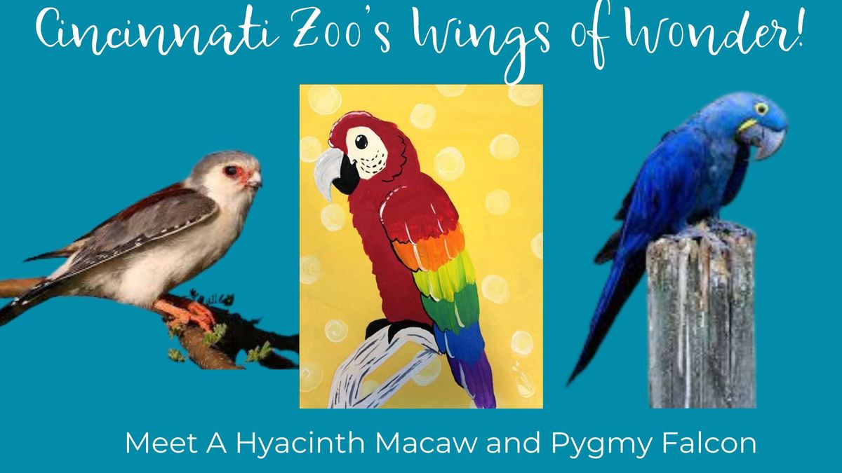 CINCINNATI ZOOS WINGS OF WONDER - MEET A MACAW AND FALCON!