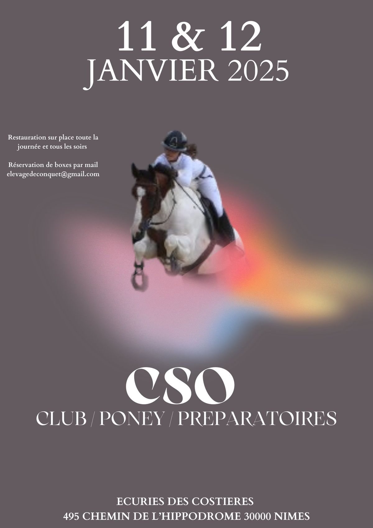 CSO 11 & 12 JANVIER 2025 N\u00eemes Costi\u00e8res