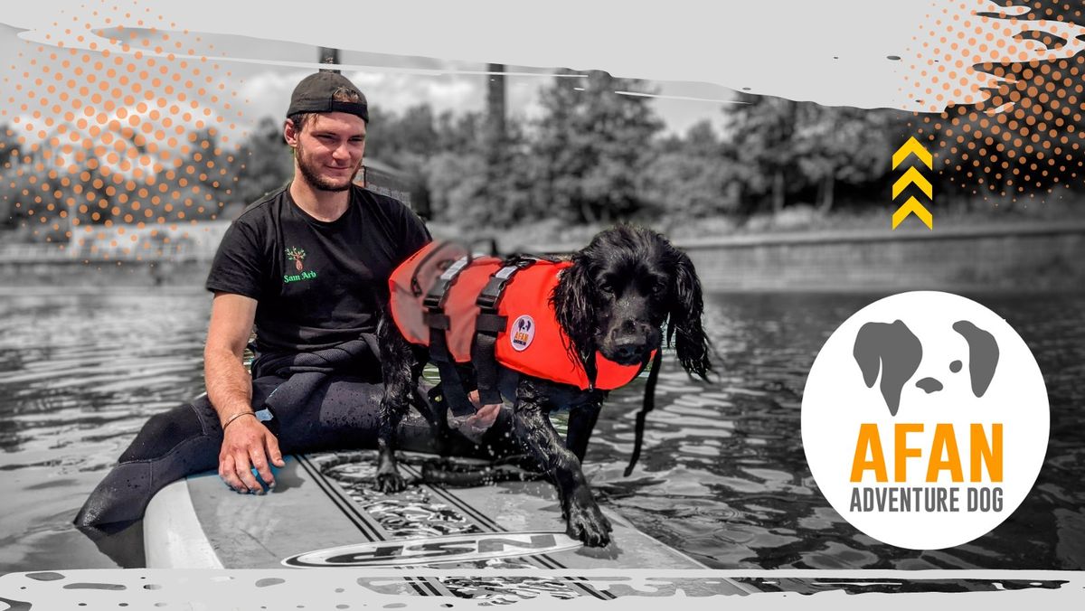 Introduction to Dog SUP