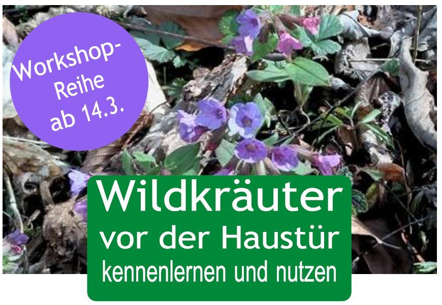 Wildkr\u00e4uter Workshop monatlich ab 14.3.