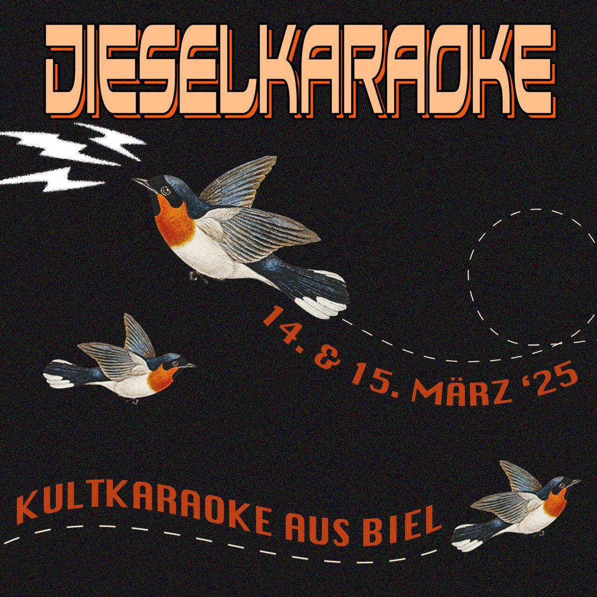 Dieselkaraoke #1 \/\/ Alte Hackerei