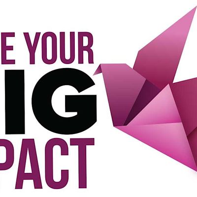 Angel Tuccy, Vedette Global Media