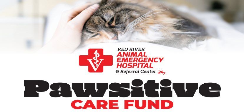 RRAEH's Pawsitive Care Fund Kick-off Fundraiser