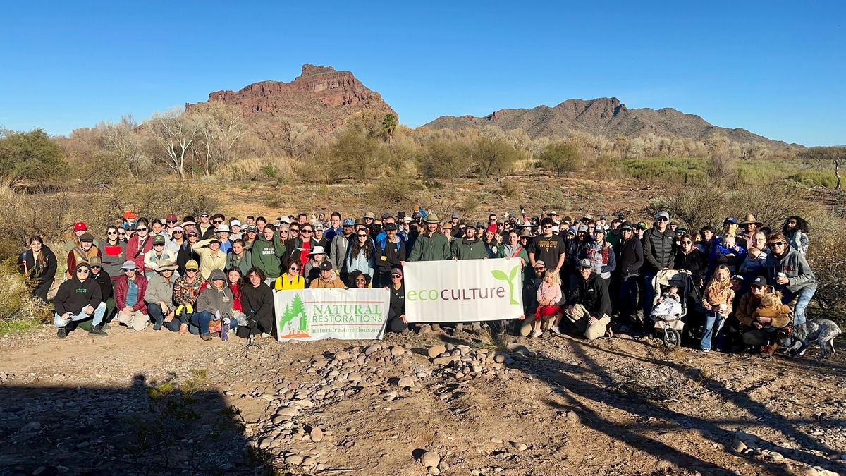 Lower Salt River Tree Planting