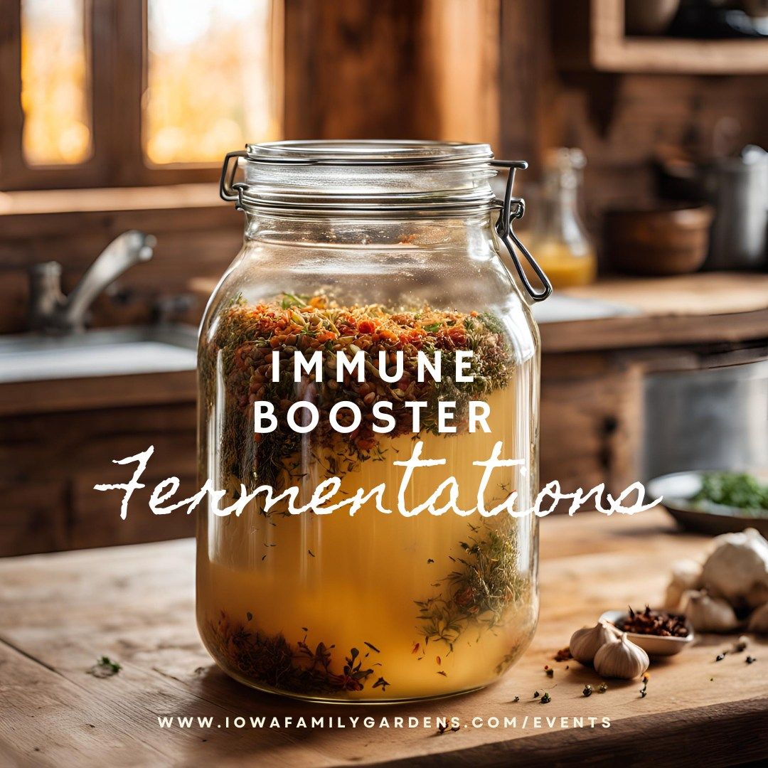 Immune Booster Fermentations