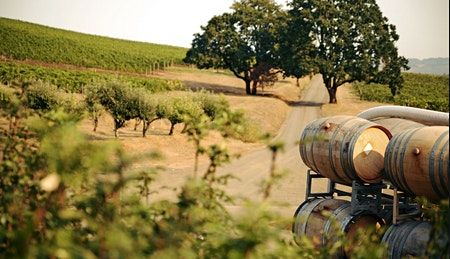 Destination Known:  Wines of Oregon