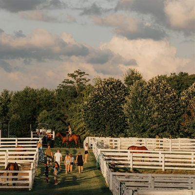 Arranmore Farm + Polo Club