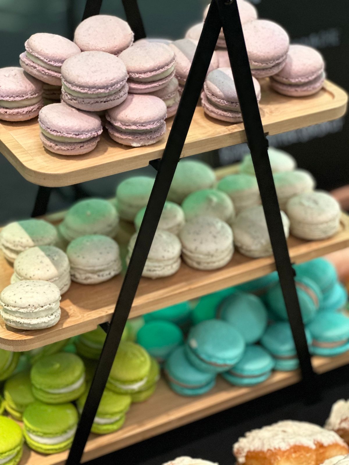 Winter Break Camp: Macarons