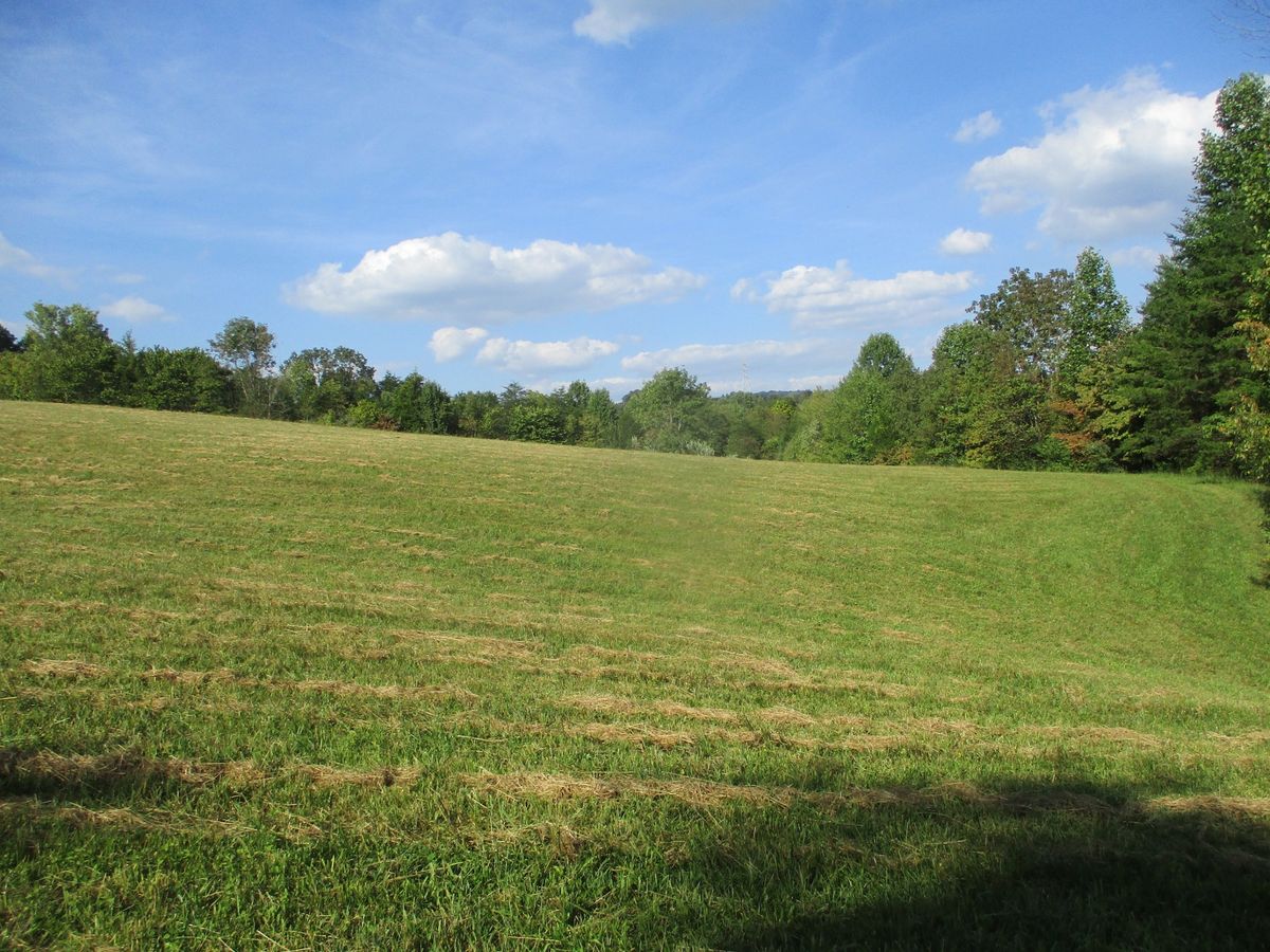 Land Auction: 35.99+\/- Acres Surveyed into 6 Acreage Tracts, Zoned R-3, City Sewer\/Water Available!