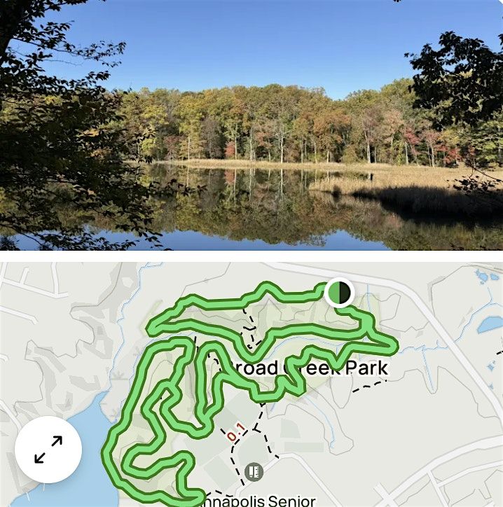 Women's Forest Hike in Annapolis