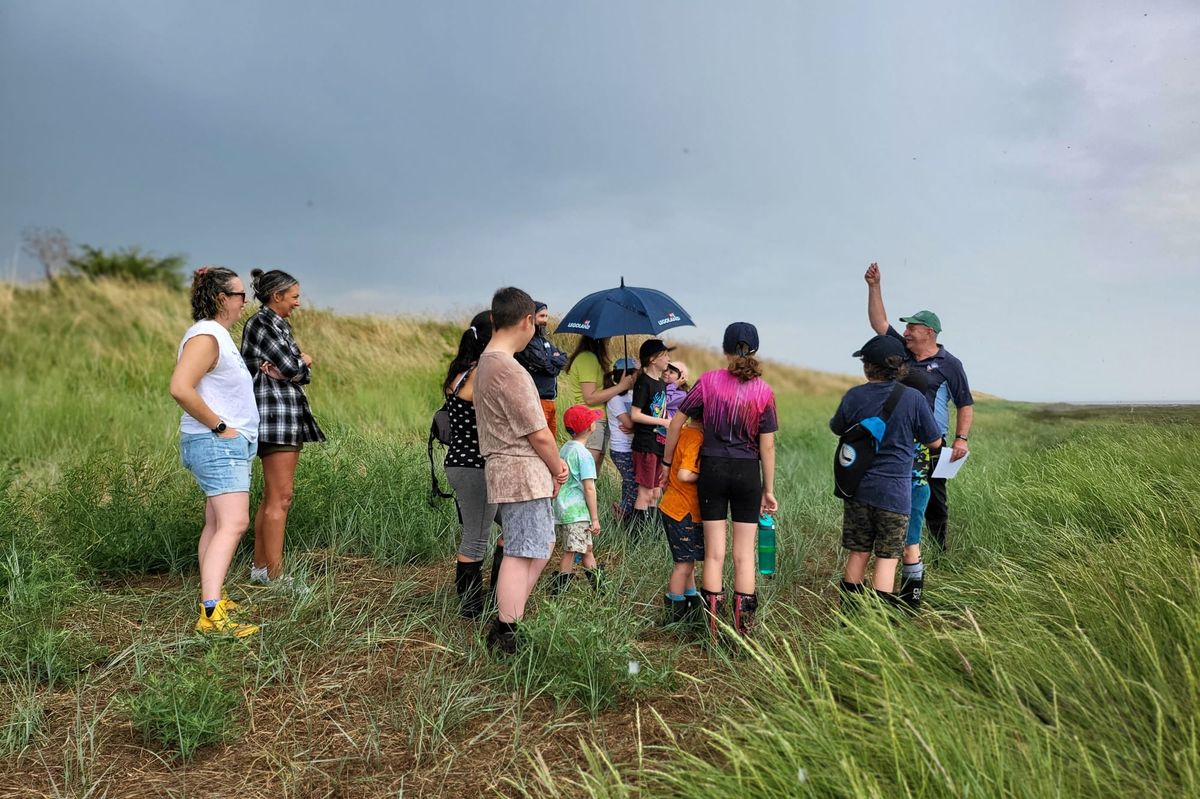 Saltmarsh Safari