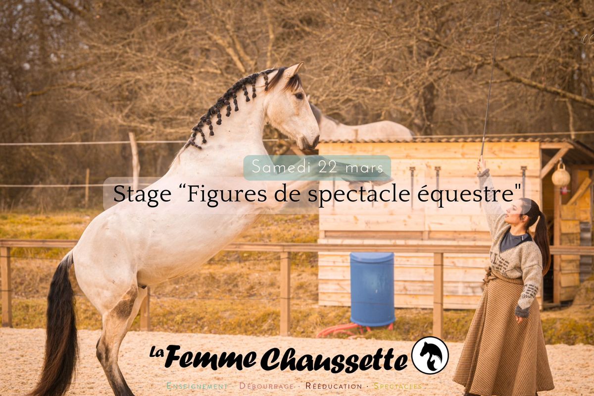 Stage Spectacle \u00e9questre \ud83e\udd84 Figures de spectacle 