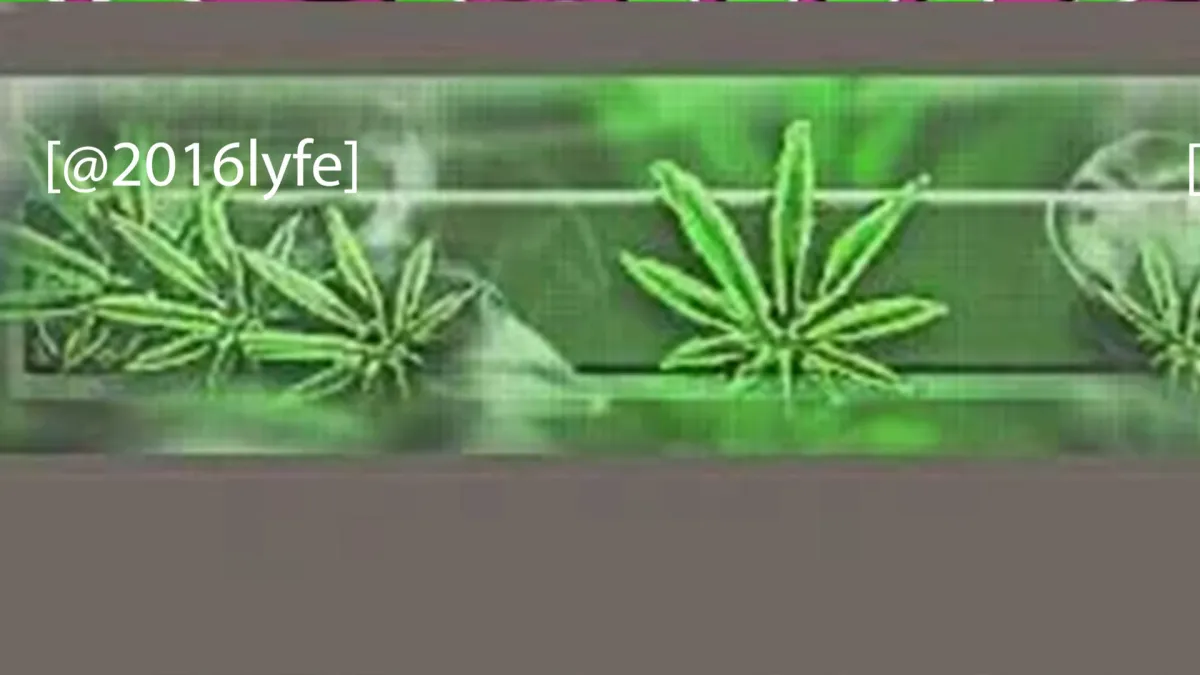 smokedope2016 in Frankfurt am Main