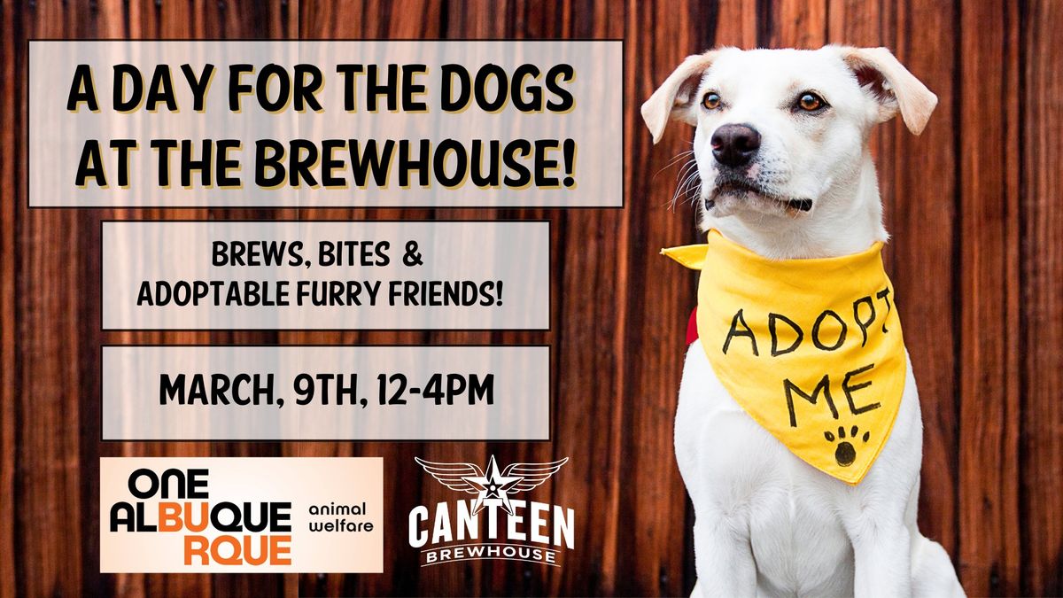 A Day for the Dogs! at the Brewhouse w\/ Albuquerque Animal Welfare 